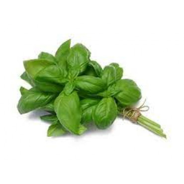 GREEN LEAVES (BASIL) PCS