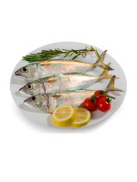 FRESH MACKEREL FISH SMALL - 1KG (APPROX) 