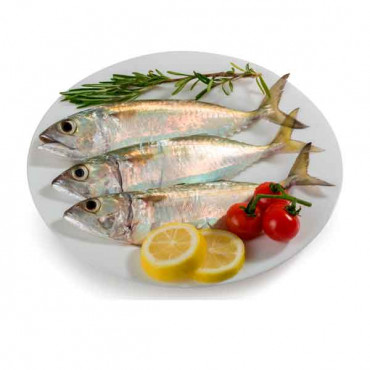 Fresh Mackerel Fish Small - 1Kg (Approx) 