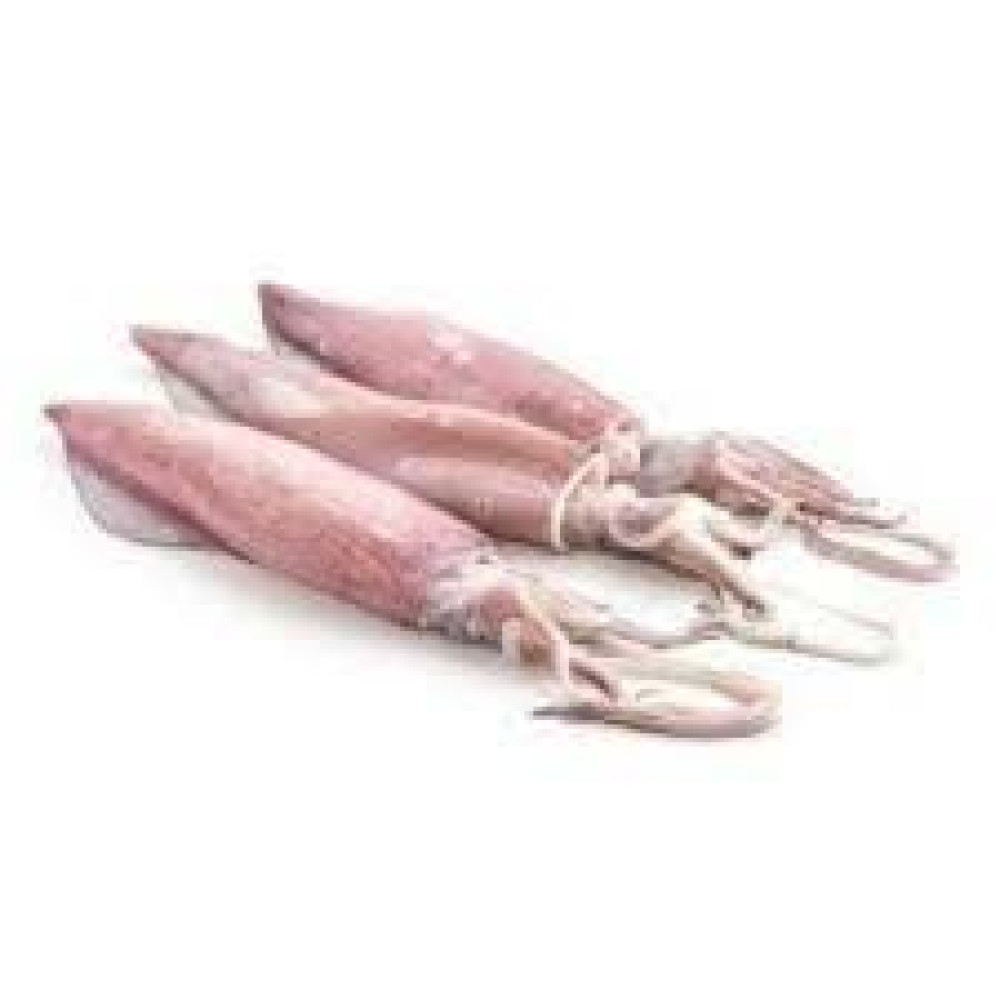 SQUID SMALL KUWAIT 1 KGS