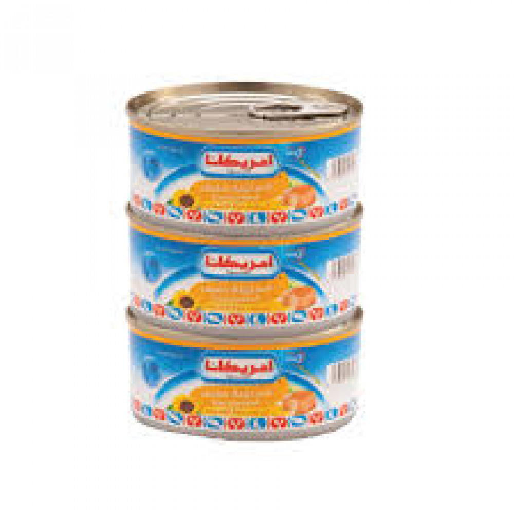 Americana Light Tuna Chunky 3 X 160Gm